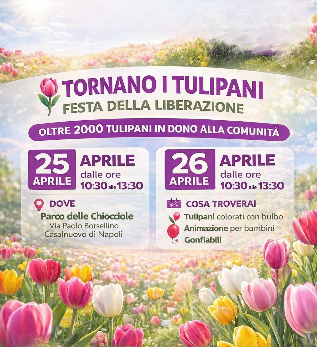 Tulipano 1